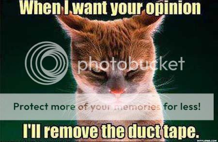 remove-the-duct-tape-cat-meme.jpg