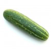 concombre-vert-long-maraicher-bio-graines-semences.jpg