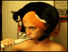 Shower_cat_hat.gif