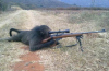 monkey-sniper.png