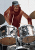drum-monkey.2.gif