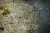 plastic-pollution-coastal-care-584x388.jpg