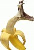 banane_serpent.jpg