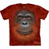 orangutan-face-t-shirt-9562-p.jpg