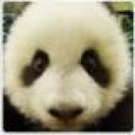 Agentchine justine