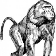 Zéphyr