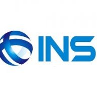 ins consulting