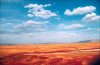 Xinjiang par Danny1.jpg