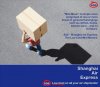 SAE_PostKard_MiniMoving_2009_v3xs.jpg