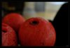Aprem Bowling _ the tapir ball.jpg