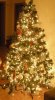 DSCN1208.jpg