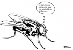 1626837157893.png