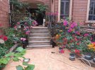 IMG_20220115_080358B.jpg