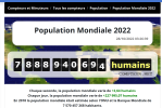 1666898919566.png
