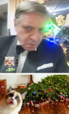 1671926237322.png