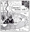 下载 (1).jpg