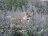 DSC04714.jpg