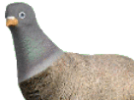 1792846646683.png 1792846646683.png