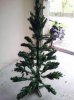 Méga sapin.jpg