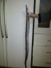 IMG-20130206-00274.jpg