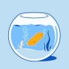 poisson pane.jpg