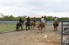 IMG_7926.jpg