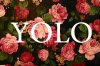 drake-the-motto-yolo-Favim.com-425082.jpg