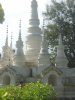 DSC00803.jpg