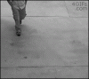 aeN0zGj_460sa.gif