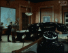 perspective.gif
