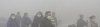 3499884_3_fc8f_harbin-le-21-octobre_51b301965e40e3aa0e330df421a504a0_resultat.jpg