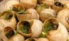 escargots.jpg