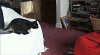 anigif_enhanced-buzz-4891-1387474154-22.gif