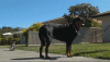 anigif_enhanced-21857-1392227957-9.gif