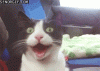 anigif_enhanced-buzz-25303-1364489664-16.gif
