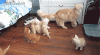 8b162794c7f2fcc98bde1c12fd0bc580.gif