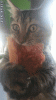 033e149352afce7c9b60d062a908906c.gif