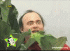 Gif-2.gif