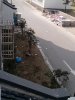 IMG_20140311_134243.jpg