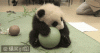72f0820.gif