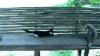 a1d9c7764b67bea18773e31f417fa0a0.gif