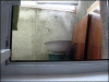 Creepy-stalker-cat.gif