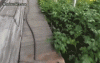 811ad6b76cb563b26fa7c8.gif