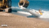 c3c39b5.gif