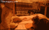 7a0facdfjw1dr32n7dtvxg.gif