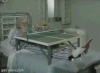 519a98042de59e41095bc8ec6d933fca.gif