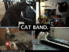 cb.gif
