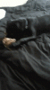 444d7111jw1eemmcbnkwgg20780cvnpd.gif