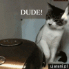 code-gif-206.gif