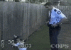 tumblr_mmklp7xsaz1rnqolfo1_400.gif